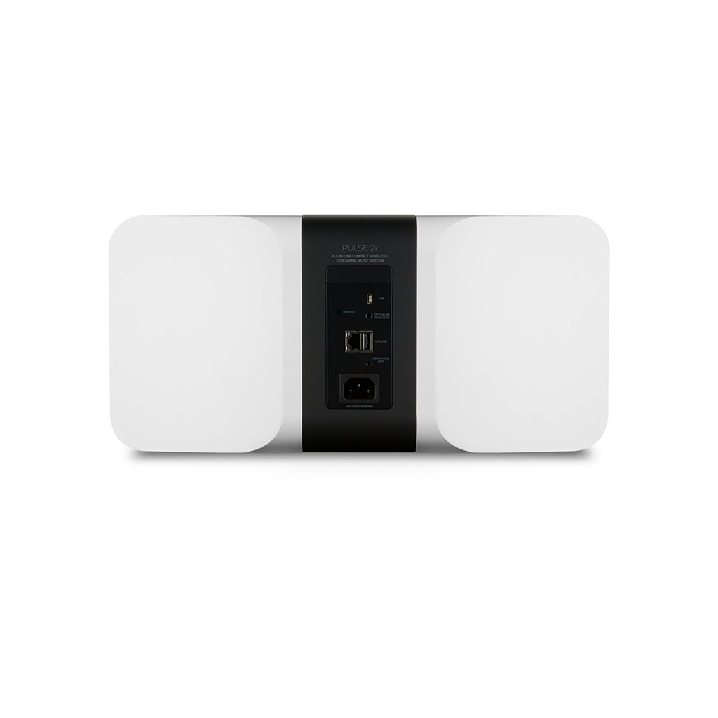 pulse_wht_back_1_1.jpg