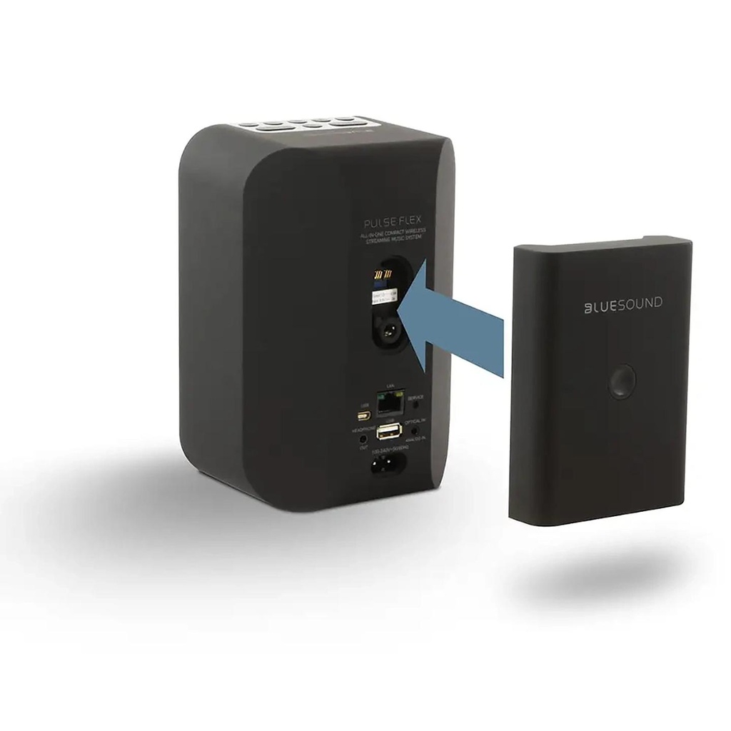 black-flex-battery-pack-rear-3-4-arrow_1.jpg